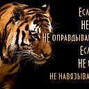 ���� �����, ������, 59 ��� - ��������� 6 ��� 2016 � ������ ���� ����������