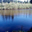 ���� ��������, �����, 51 ��� - ��������� 26 ��� 2016 � ������ ���� ����������