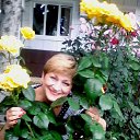 ���� ������, ���������, 66 ��� - ��������� 18 ���� 2016 � ������ ���� ����������