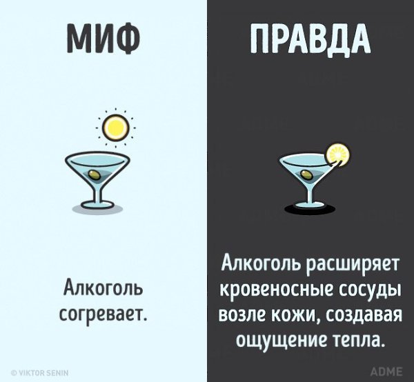 10 мифов о человеческом теле, которые пора забыть. - 8