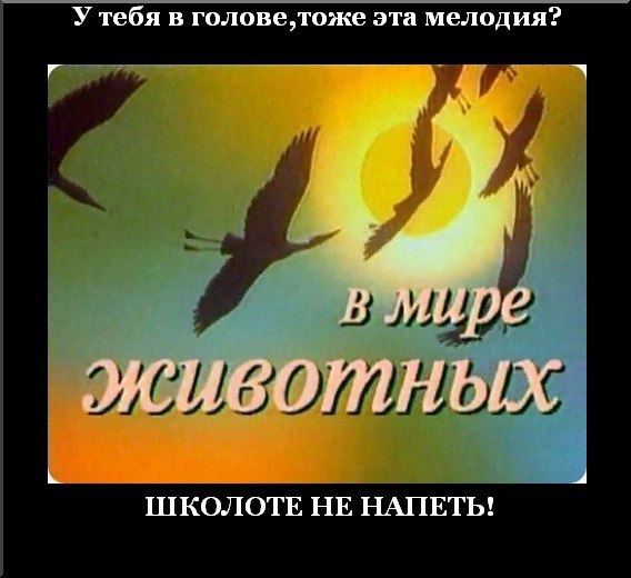☆☆☆  XX  ☆☆☆ - 21  2016  00:34