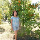 ���� �������, �������, 48 ��� - ��������� 10 ������� 2016 � ������ ���� ����������