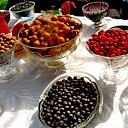  ,  -  15  2016    13    \