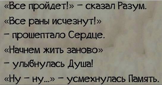 Alexandr - 16  2016  10:54