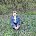 ���� �������, ������ �����, 55 ��� - ��������� 30 ��� 2016 � ������ ������ ��������