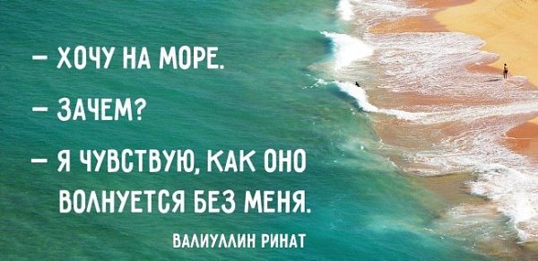   - 18  2016  19:59