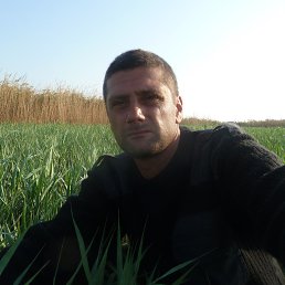 �������, ���������, 47 ���