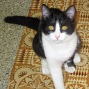 ���� �����, ���������, 37 ��� - ��������� 28 ������ 2016 � ������ ���� ����������