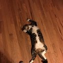 ���� Thom, ��������, 52 ���� - ��������� 29 ���� 2016 � ������ ���� ����������