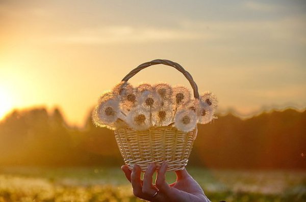 Забыть плохое — значит впустить хорошее.