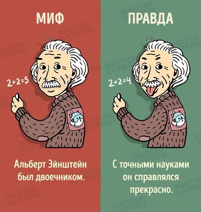10  ,      .