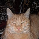 ���� ��������, �������, 52 ���� - ��������� 12 ������� 2016 � ������ ����