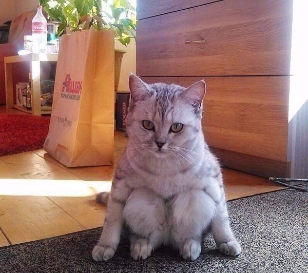 ���� ����� ���������.