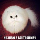  , - -  30  2016       .  ...