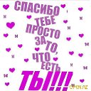 ���� ���, �������� - ��������� 24 ������� 2016 � ������ ���� ����������