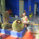 ���� �������, �������� - ��������� 29 ��� 2016 � ������ �������� 2016 ���