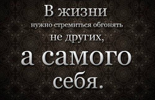   -  ,  -  - 23  2016  10:40