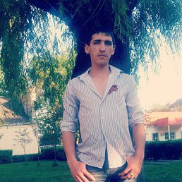 ����, �������, 40 ���