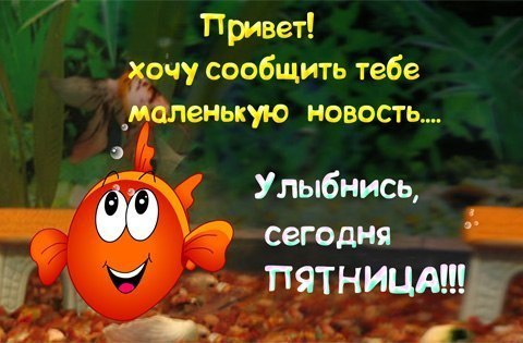 ��������� ������ (�������) - 2 �������� 2016 � 07:54