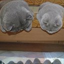 ���� ����, �������, 63 ���� - ��������� 18 ���� 2016 � ������ ������ ��������