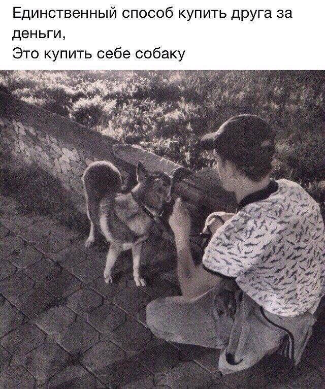 . - 1  2016  23:00