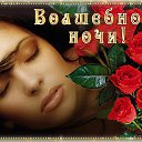  ...,  ...tanya,  -  11  2016    ߻