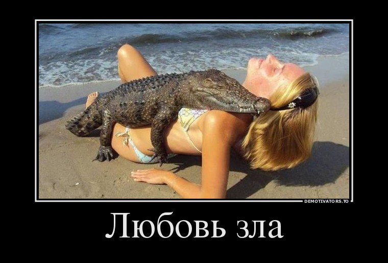   : <a href=