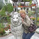 ���� ����, ������� - ��������� 31 ��� 2016 � ������ ���� ����������