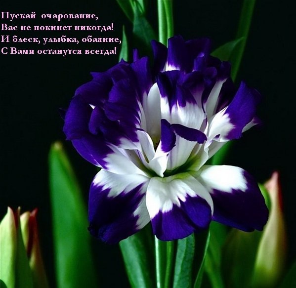   - 29  2016  06:30