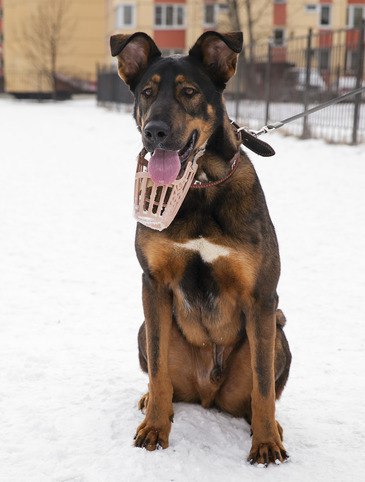 !!    !!   1.5 ,,, 2 . . ... - 4