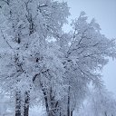 ���� ����������, ����, 75 ��� - ��������� 28 ���� 2016 � ������ ������������ �������������