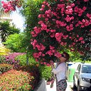 ���� Olga, �������� - ��������� 19 ������� 2016 � ������ ���� ����������
