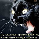 ���� // I., ����� - ��������� 19 ������� 2016 � ������ ���� ����������