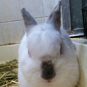 ���� Kang, �����, 54 ���� - ��������� 13 ���� 2016 � ������ ���� ����������