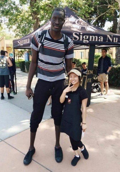  ,   229 