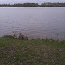 ���� ����, �����, 37 ��� - ��������� 1 ��� 2016 � ������ ���� ����������