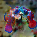  , , 70  -  6  2016    -