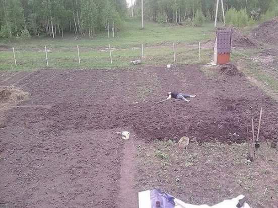    ))