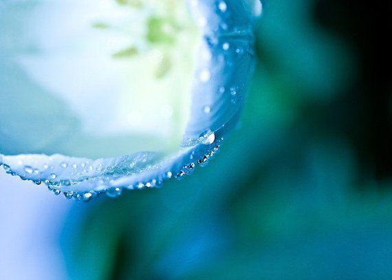 Ты просто есть... и большего не надо. Смотря в окно, я улыбаюсь снегу. Там, за окном - морозная ... - 5