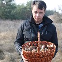 ���� ������, ���������, 42 ���� - ��������� 24 ����� 2016 � ������ ��������� ���