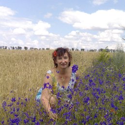 , 54, 