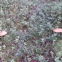 ���� ������, ��������, 54 ���� - ��������� 15 ���� 2016 � ������ ������ ����� 2016�.14 �����