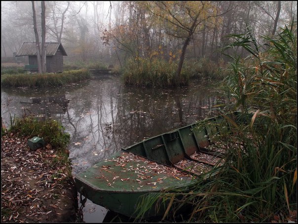  Gabor Dvornik - 4