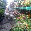 ���� �������, �����, 44 ���� - ��������� 3 ���� 2016 � ������ ���� ����������