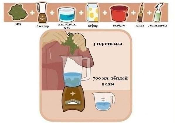 Занимательная ботаника. Как вырастить надпись или рисунок из мха - 2