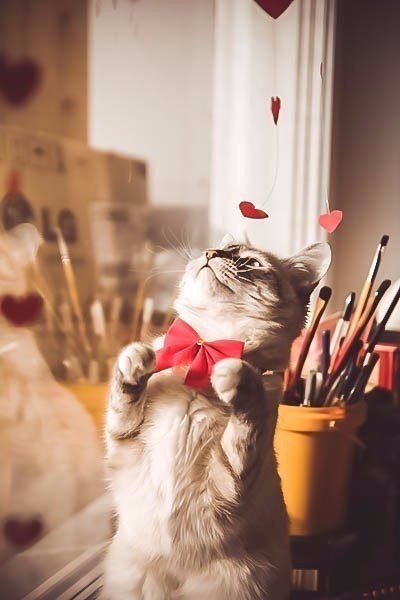       - 26  2016  08:06 - 2