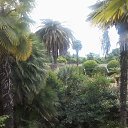  , , 75  -  12  2016    2016