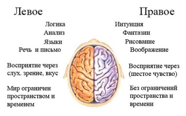 Как стимулировать мозг работать с новой силой! 1. Новое окружение Сходите туда, где вы еще никогда ...