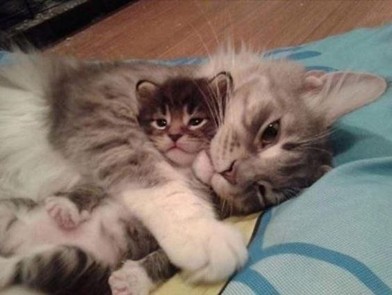  :3