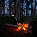 ���� ������..., ������, 55 ��� - ��������� 15 ������� 2016 � ������ ������ ��������